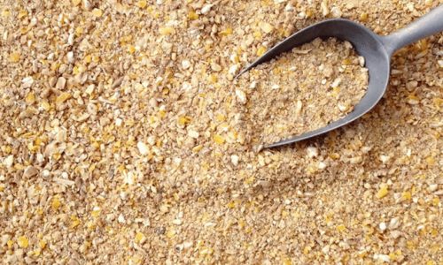 Feed-Premixes-and-Global-Market-Status