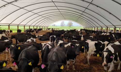 Whatisindoordairyfarming-ezgif.com-avif-to-jpg-converter